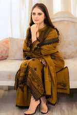 3Pc Embroidered Suit-RG536
