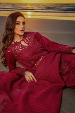 3Pc Embroidered Suit-RG538