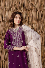 3Pc Embroidered Suit-RG508