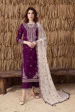 3Pc Embroidered Suit-RG508