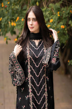 3Pc Embroidered Suit-RG521