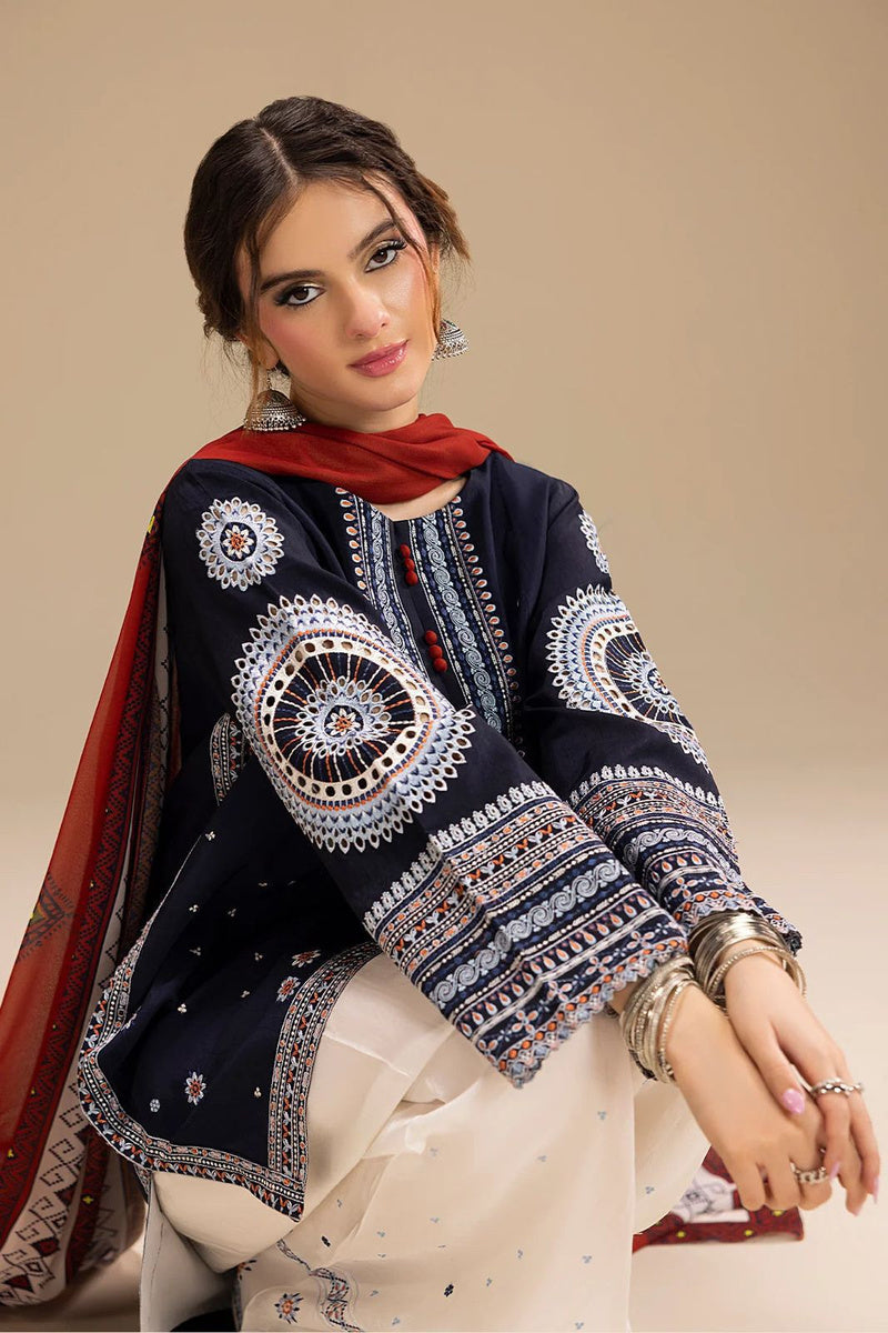 3Pc Embroidered Suit-RG540