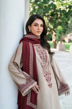 3Pc Embroidered Suit-RG541